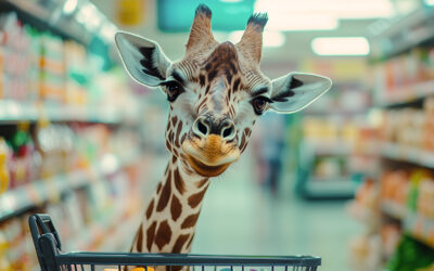 Clean Product Safari